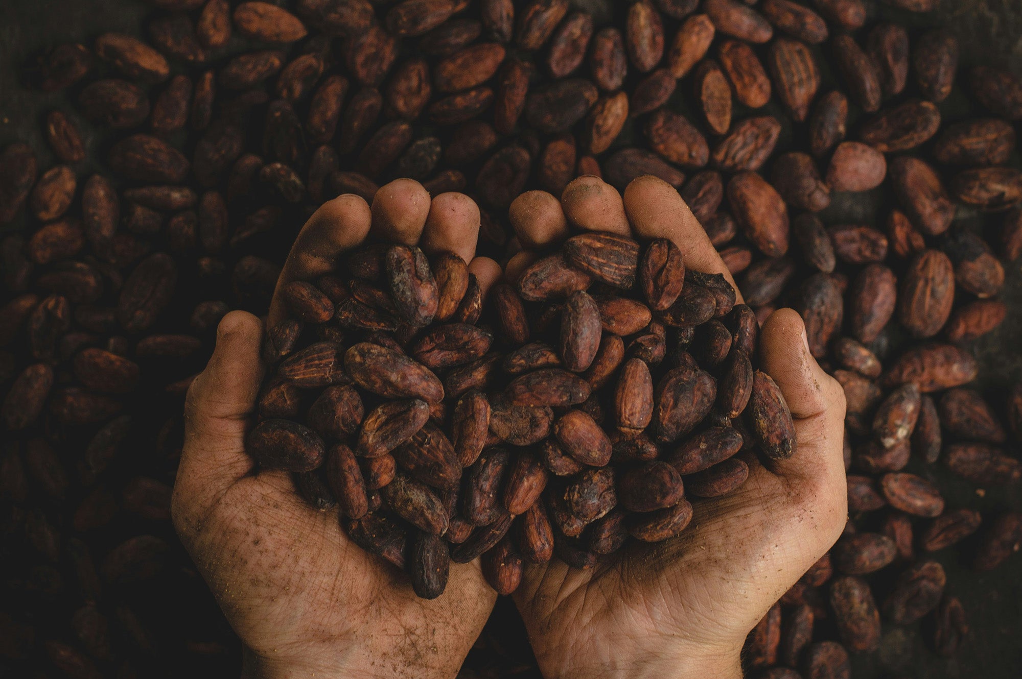How Cacao Can Improve Your Exercise Capacity & Performance