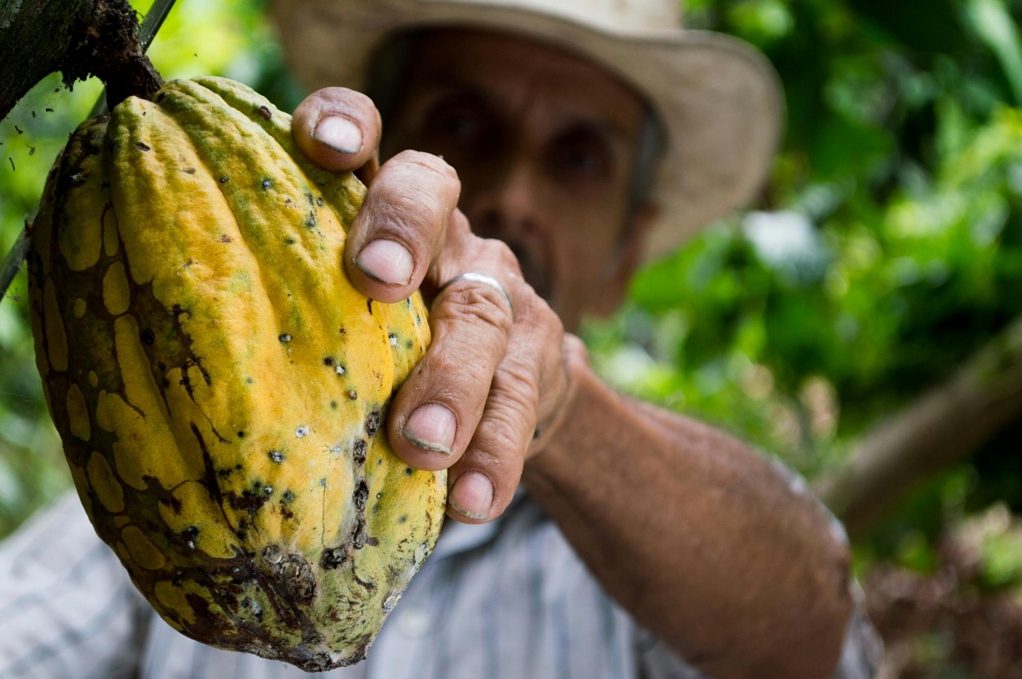 Why our bodies need magnesium